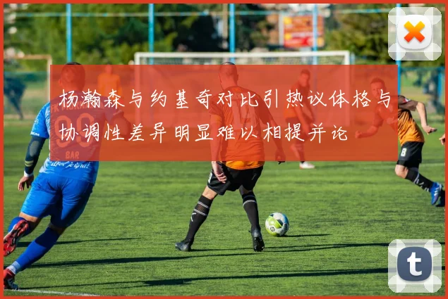 杨瀚森与约基奇对比引热议体格与协调性差异明显难以相提并论