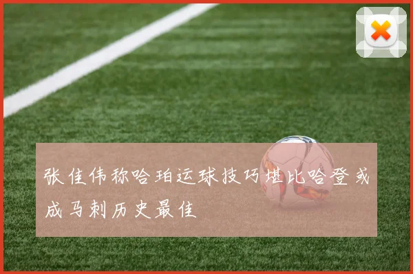 张佳伟称哈珀运球技巧堪比哈登或成马刺历史最佳