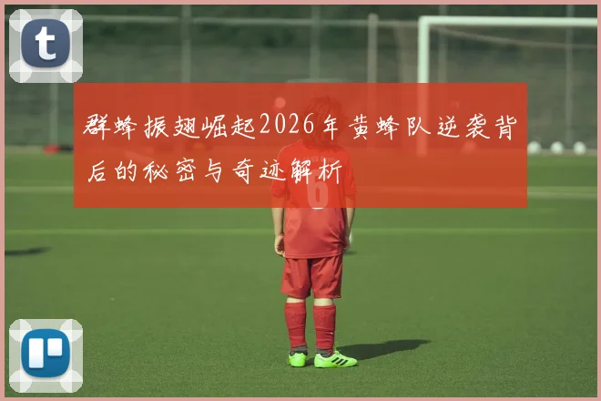 群蜂振翅崛起2026年黄蜂队逆袭背后的秘密与奇迹解析