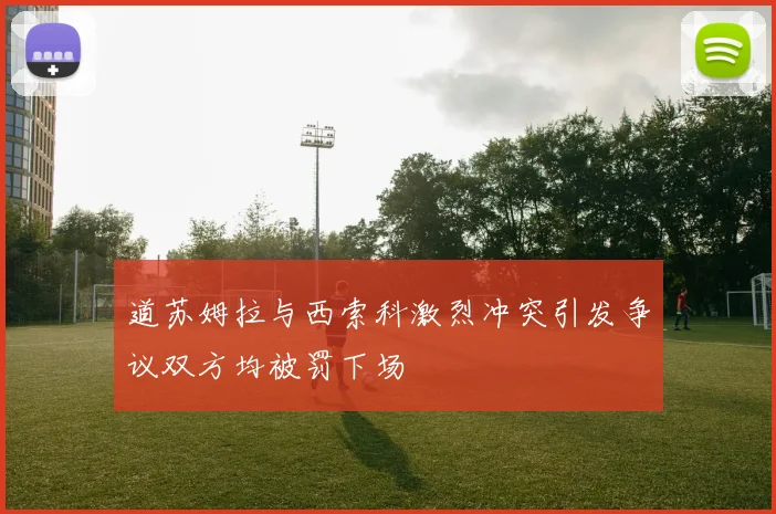 道苏姆拉与西索科激烈冲突引发争议双方均被罚下场