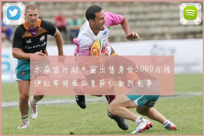 水晶宫计划冬窗出售身价5000万格伊红军将面临皇萨仁激烈竞争