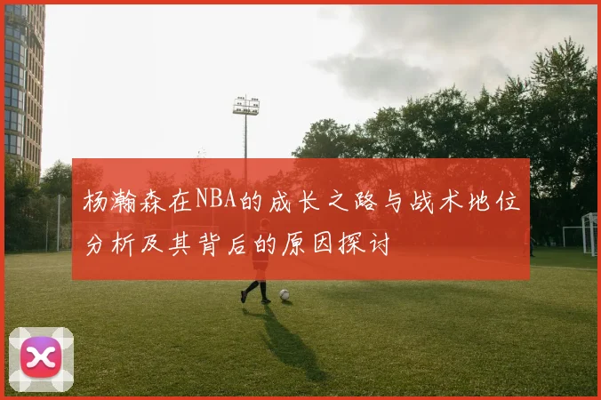 杨瀚森在NBA的成长之路与战术地位分析及其背后的原因探讨