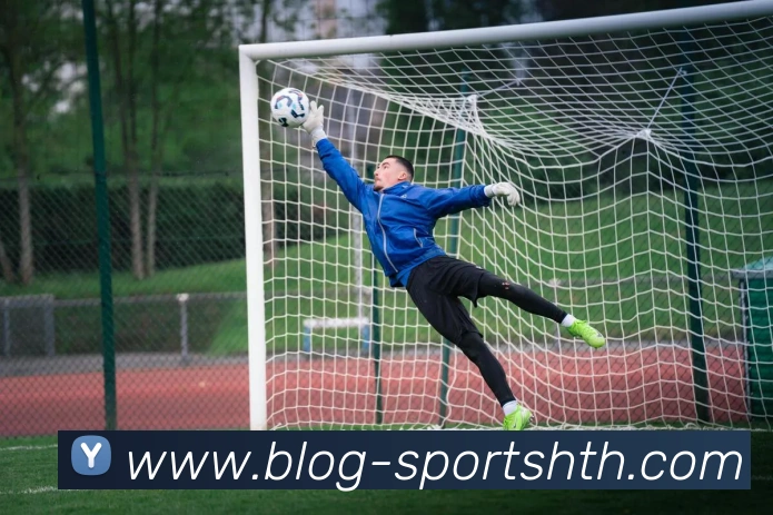 华体会体育平台生态图